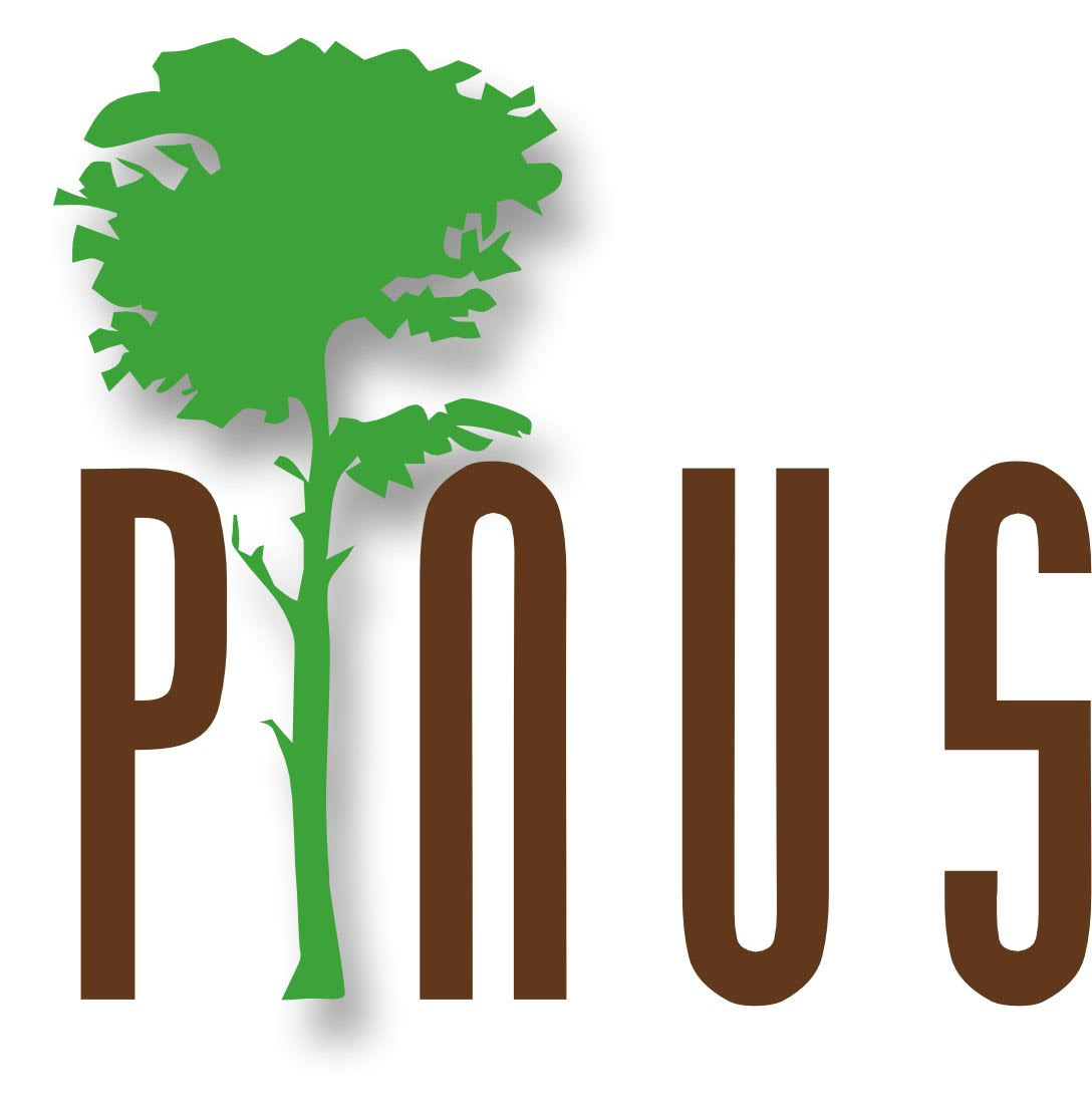 Nagy Tibor portréja